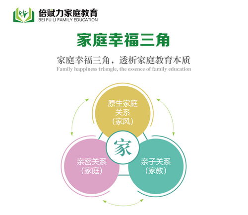 山東倍賦力教育 青少年一對一在線輔導咨詢